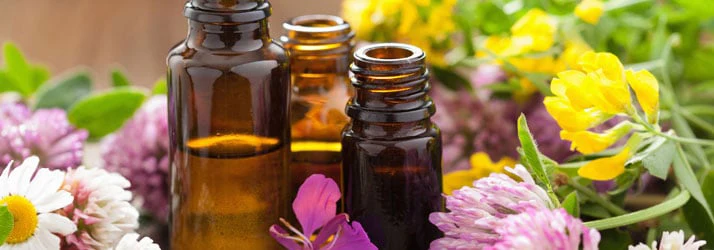 Massage Therapy Canton MI essential oils